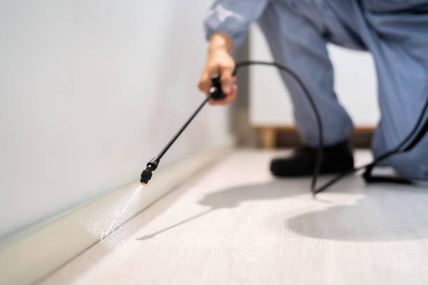 Licensed Termite Control service in Vandalia, IL - Show Me Pest Control